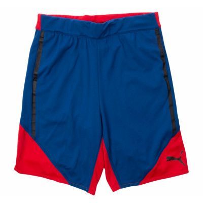 Active Cell Poly Shorts, True Blue, 176,  Puma