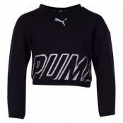 Alpha Crew Sweat Tr G, Cotton Black, 104,  Puma