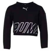 Alpha Crew Sweat Tr G, Cotton Black, 164,  Puma
