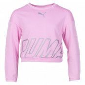 Alpha Crew Sweat Tr G, Pale Pink, 104,  Puma