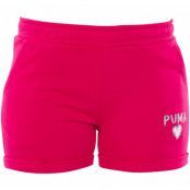 Alpha Shorts G, Bright Rose, 104,  Vardagsshorts