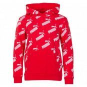 Amplified Aop Hoody Tr B, High Risk Red, 128,  Sweatshirts
