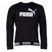 Amplified Crew Fl, Cotton Black, Xl,  Puma