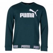 Amplified Crew Fl, Ponderosa Pine, L,  Puma