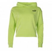 Amplified Cropped Hoodie Tr, Sharp Green, L,  Puma
