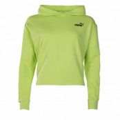 Amplified Cropped Hoodie Tr, Sharp Green, M,  Hoodies