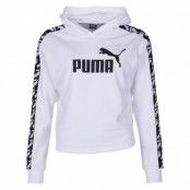 Amplified Cropped Hoody Tr, Puma White, L,  Puma