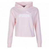 Amplified Cropped Hoody Tr, Rosewater, L,  Hoodies