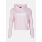Amplified Cropped Hoody Tr, Rosewater, M,  Hoodies
