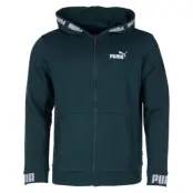 Amplified Hooded Jacket Fl, Ponderosa Pine, L,  Puma