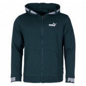 Amplified Hooded Jacket Fl, Ponderosa Pine, M,  Puma