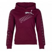 Amplified Hoodie Fl, Burgundy-Silver, S,  Puma