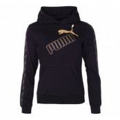 Amplified Hoodie Fl, Puma Black-Gold, M,  Puma