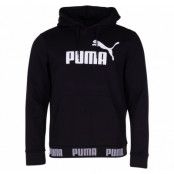 Amplified Hoody Fl, Cotton Black, M,  Puma