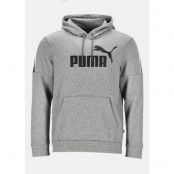 Amplified Hoody Fl, Medium Gray Heather, M,  Hoodies