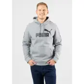 Amplified Hoody Fl, Medium Gray Heather, S,  Hoodies