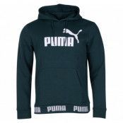 Amplified Hoody Fl, Ponderosa Pine, L,  Puma