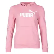 Amplified Hoody Tr, Bridal Rose, Xl,  Puma