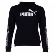 Amplified Hoody Tr, Puma Black, S,  Hoodies