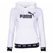 Amplified Hoody Tr, Puma White, S,  Puma