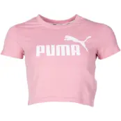 Amplified Logo Fitted Tee, Bridal Rose, M,  Puma