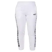 Amplified Pants Tr Cl, Puma White, S,  Sweatpants