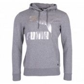 Archive Logo Hoody Fl, Medium Gray Heather, L,  Puma