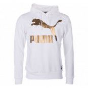 Archive Logo Hoody Fl, Puma White, M, Puma
