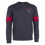 Athletic Crew, Dark Gray Heather-Barbados Che, L,  Puma