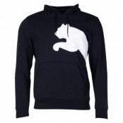 Big Logo Hoody Fl, Puma Black, L,  Hoodies