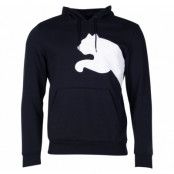 Big Logo Hoody Fl, Puma Black, M,  Puma