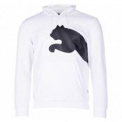 Big Logo Hoody Fl, Puma White, L,  Puma