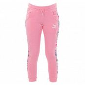 Classics Fruit Sweat Pants G, Peony, 116,  Puma