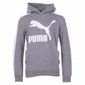 Classics Hoody Tr B, Medium Gray Heather, 104,  Puma