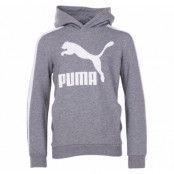 Classics Hoody Tr B, Medium Gray Heather, 110,  Puma