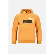 ESS+ 2 Col Big Logo Hoodie FL