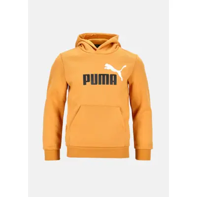 ESS+ 2 Col Big Logo Hoodie FL