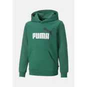 ESS+ 2 Col Big Logo Hoodie FL