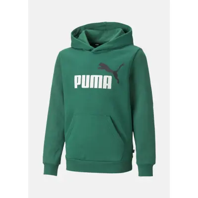 ESS+ 2 Col Big Logo Hoodie FL