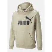 ESS Big Logo Hoodie FL B