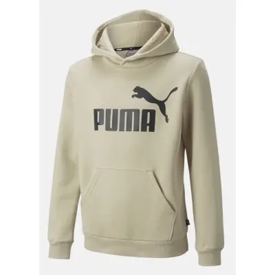 ESS Big Logo Hoodie FL B