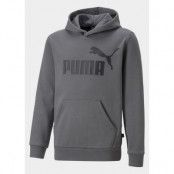 Ess Big Logo Hoodie Fl B, Castlerock, 164, Hoodies