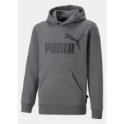 Ess Big Logo Hoodie Fl B, Castlerock, 164,  Hoodies