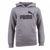 Ess Large Logo Hooded Sw Fl B, Medium Gra, 104,  Puma