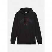 Ess+ Logo Lab Gradient Hoodie, Puma Black, 2xl,  Hoodies