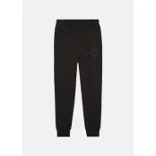 ESS+ LOGO LAB Gradient Sweatpa