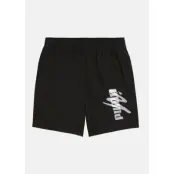 ESS+ LOGO LAB Woven Shorts 5