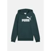 Ess No. 1 Logo Hoodie Fl B, Green Terrain, 128, Hoodies