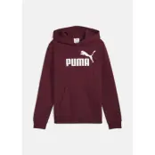 Ess No. 1 Logo Hoodie Fl B, Ruby Shimmer, 176,  Hoodies