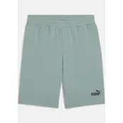 ESS No. 1 Logo Shorts 10"